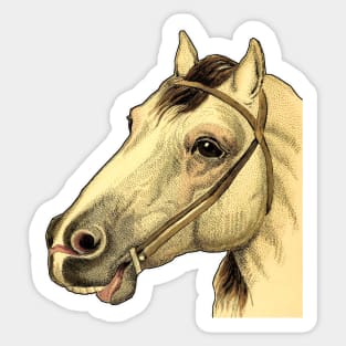 Horse head Sticker